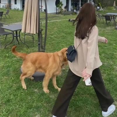 野性的邂逅粤语